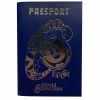 Disney Passport - Epcot World Showcase Pack -Souvenirs and Gadgets Shop dc18h72964099