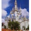Disney Postcard - Cinderella Castle With Flowers - Magic Kingdom