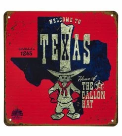 Disney Sign - Texas State - Donald Duck